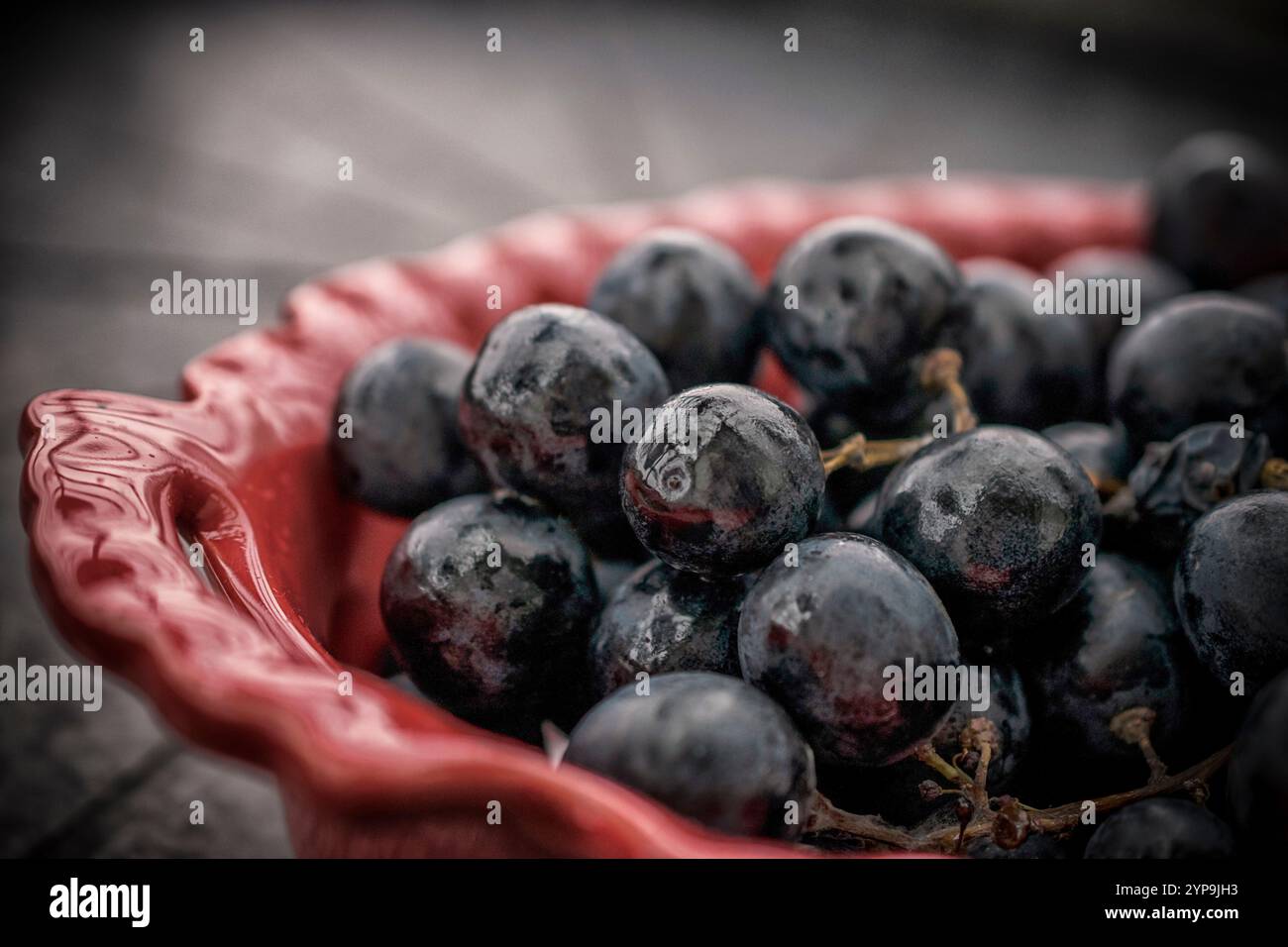Una foto ravvicinata di uva nera fresca in una ciotola rossa Foto Stock