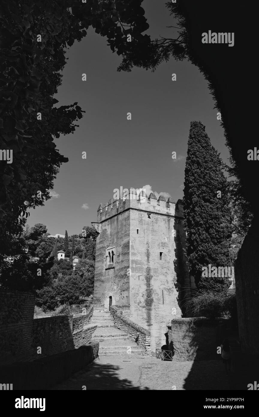 Vista monocromatica di una storica torre di guardia nell'Alhambra di Granada, circondata dal verde e dalla ricca storia Foto Stock