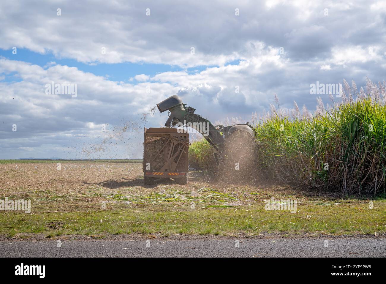 Raccolta della canna da zucchero, macchinari per la raccolta di trattori, agricoltura agricola agricola, colture, economia del lavoro rurale Foto Stock