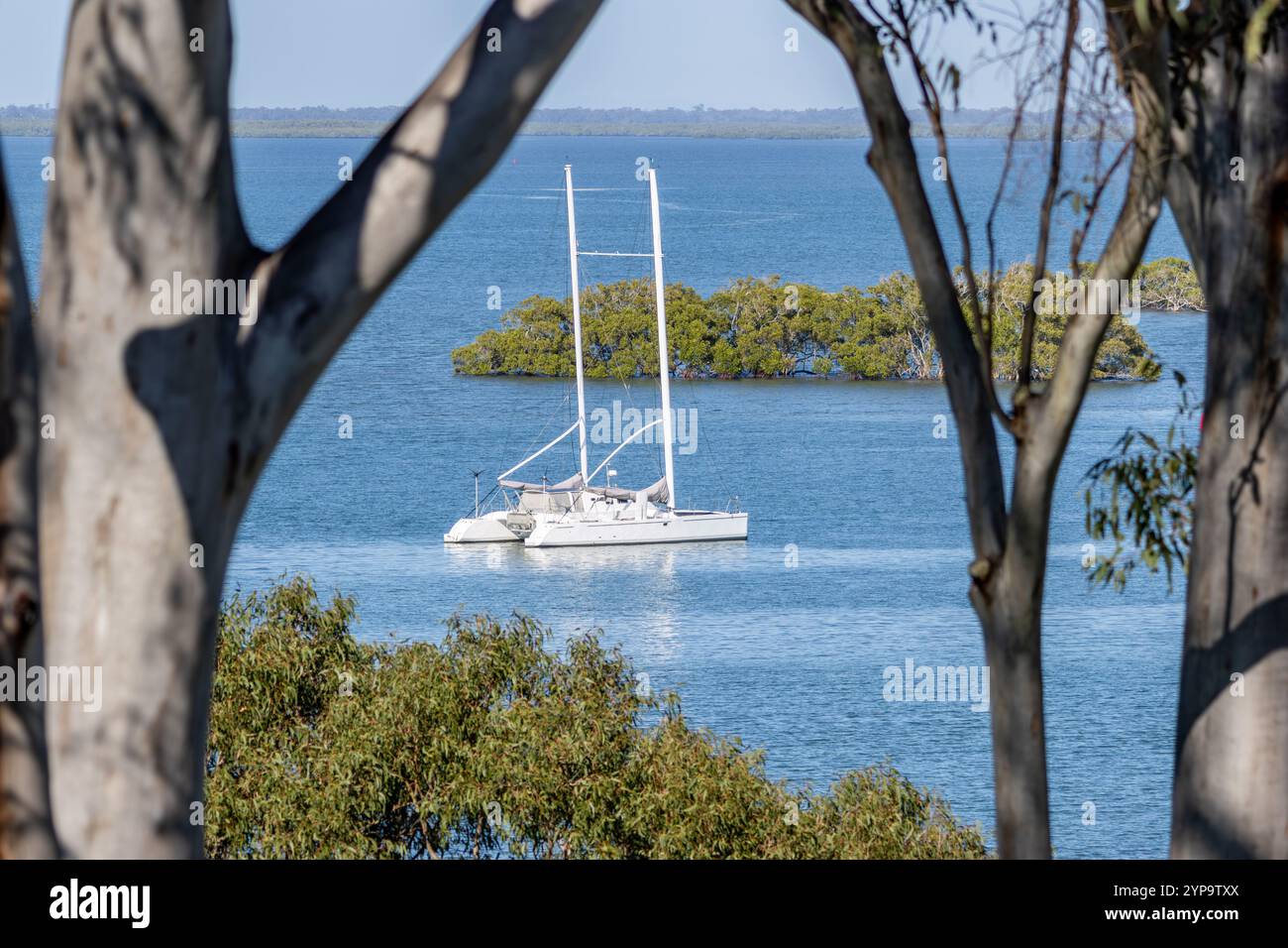 Catamarano sulle calme acque oceaniche, vista attraverso gli alberi, appartata destinazione tropicale per le vacanze, lussuosa esperienza di viaggio esclusiva Foto Stock