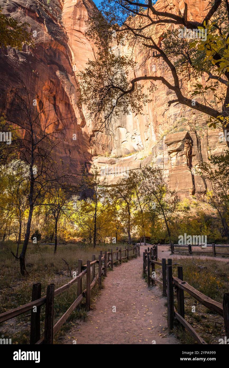 Un tranquillo percorso attraverso il Parco Nazionale di Zion, che presenta maestose scogliere di arenaria e vibranti fogliame autunnale, invitando i visitatori ad esplorare la natura. Foto Stock