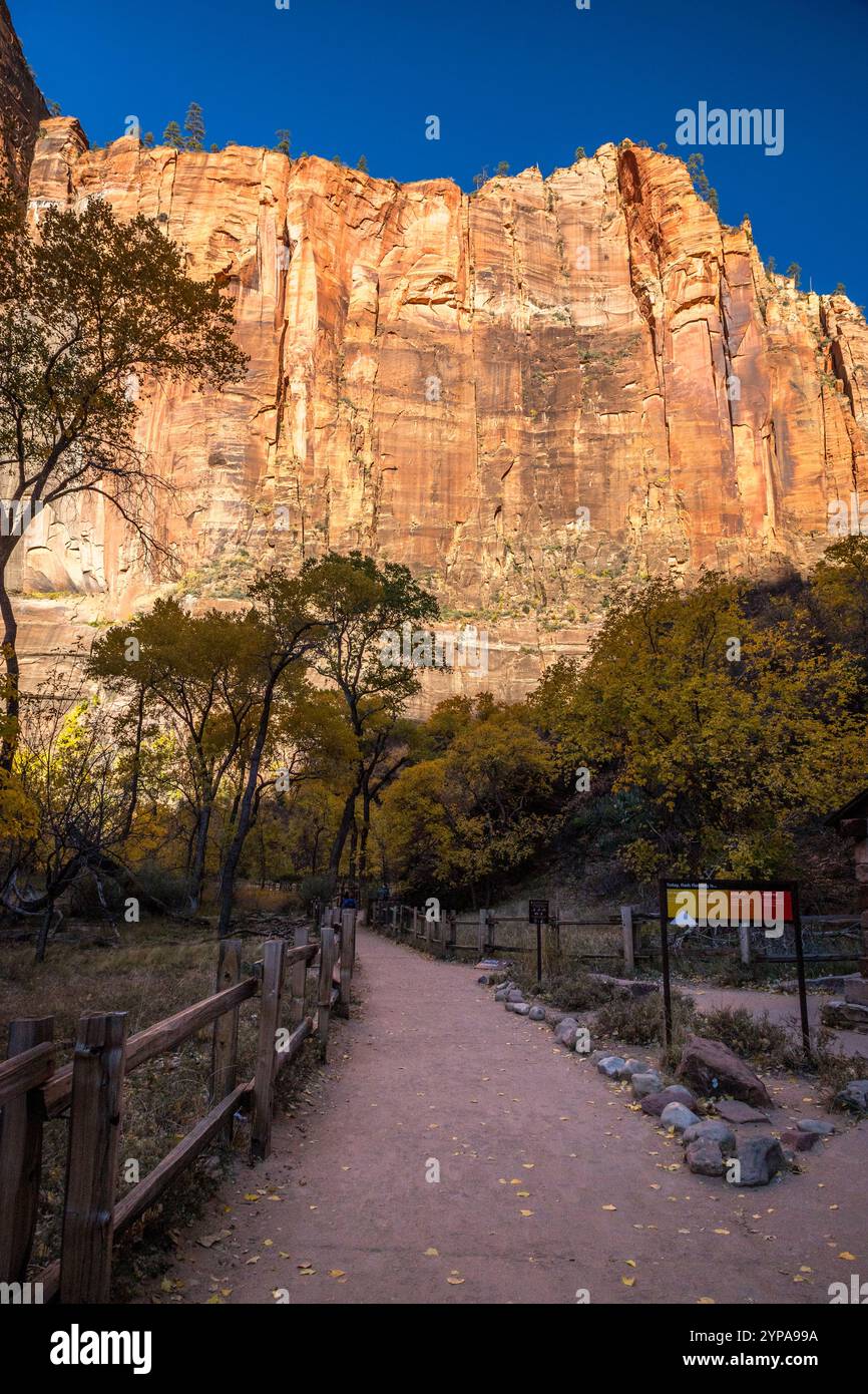 Scoprite la tranquilla passeggiata lungo il fiume nel Parco Nazionale di Zion, circondata da splendide scogliere di arenaria e da un vivace fogliame autunnale, perfetto per il relax. Foto Stock