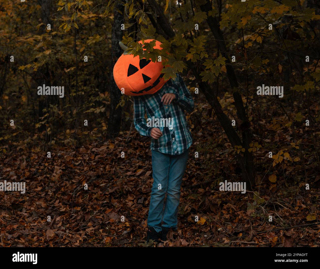 Un ragazzo con una testa di zucca nascosta dietro un ramo nel bosco Foto Stock