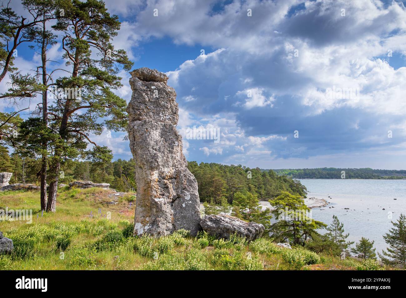 Raukar nella riserva naturale di Hideviken, Hide, Svezia, Gotland Foto Stock