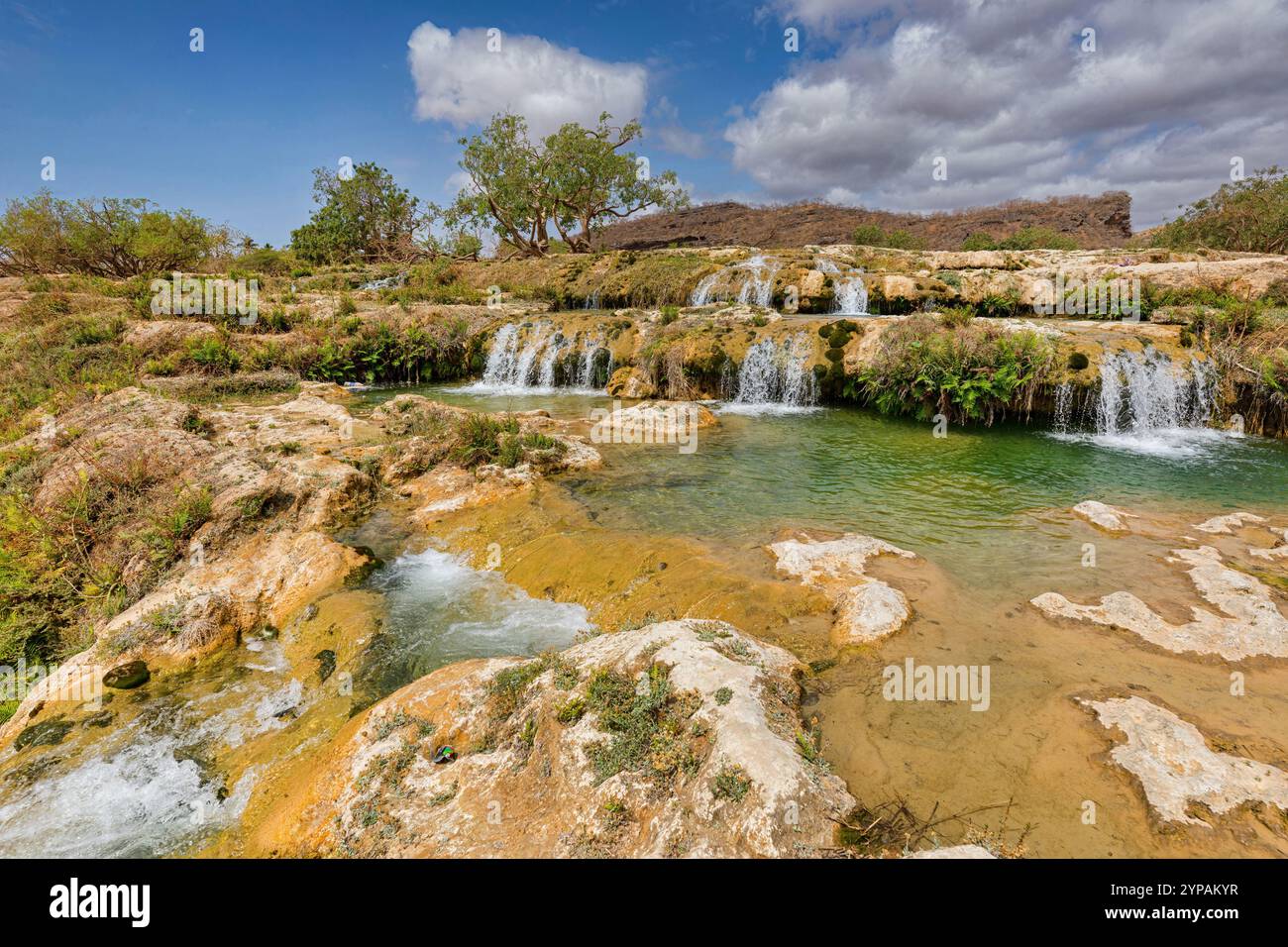 Cascate vicino a Salalah, Oman, Governatorato di Dhofar, Wadi Darbat, Salalah Foto Stock