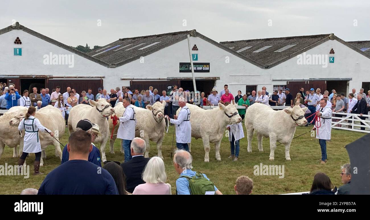 Persone che guardano le azioni giudicate al Great Yorkshire Show, Harrogate, North Yorkshire, Inghilterra settentrionale, Regno Unito Foto Stock