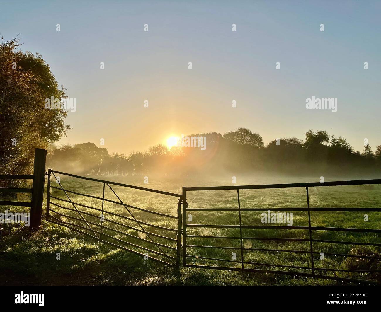 Alba che si apre sopra un cancello di campo, Womersley, North Yorkshire, Regno Unito - Immagine stock catturata con smartphone