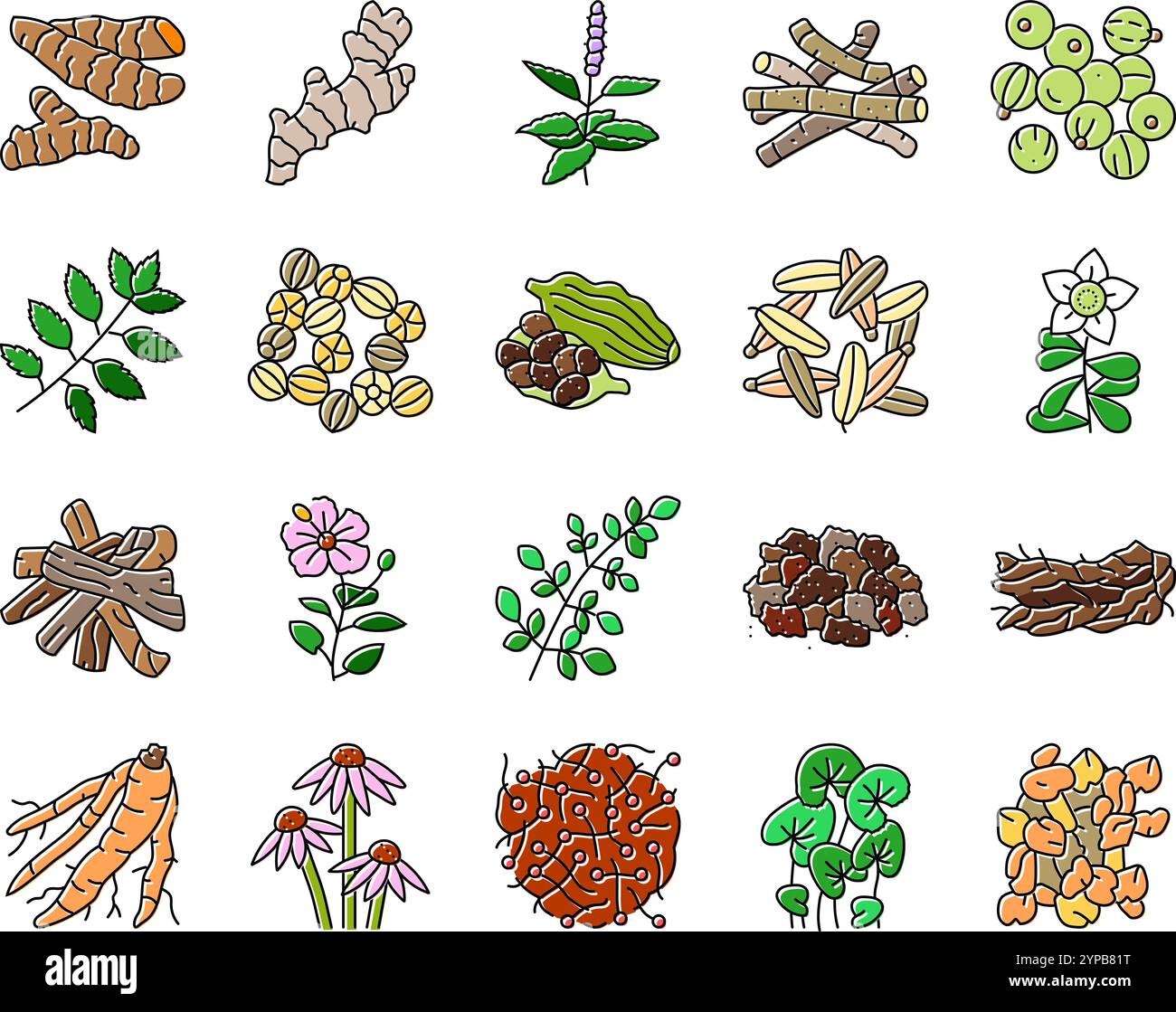 le icone di salute della medicina delle erbe ayurvediche impostano il vettore Illustrazione Vettoriale