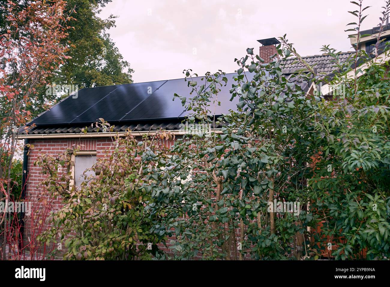 Un impianto solare residenziale molto piccolo in un capannone di una casa olandese, che mostra chi ha avuto successo la politica olandese per l'energia verde. Foto Stock