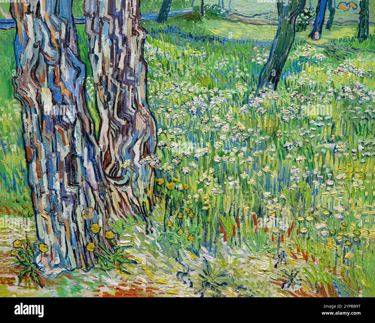 Tronchi d'albero nell'erba, Vincent van Gogh, 1890, Museo Kroller-Muller, Otterlo, paesi Bassi Foto Stock