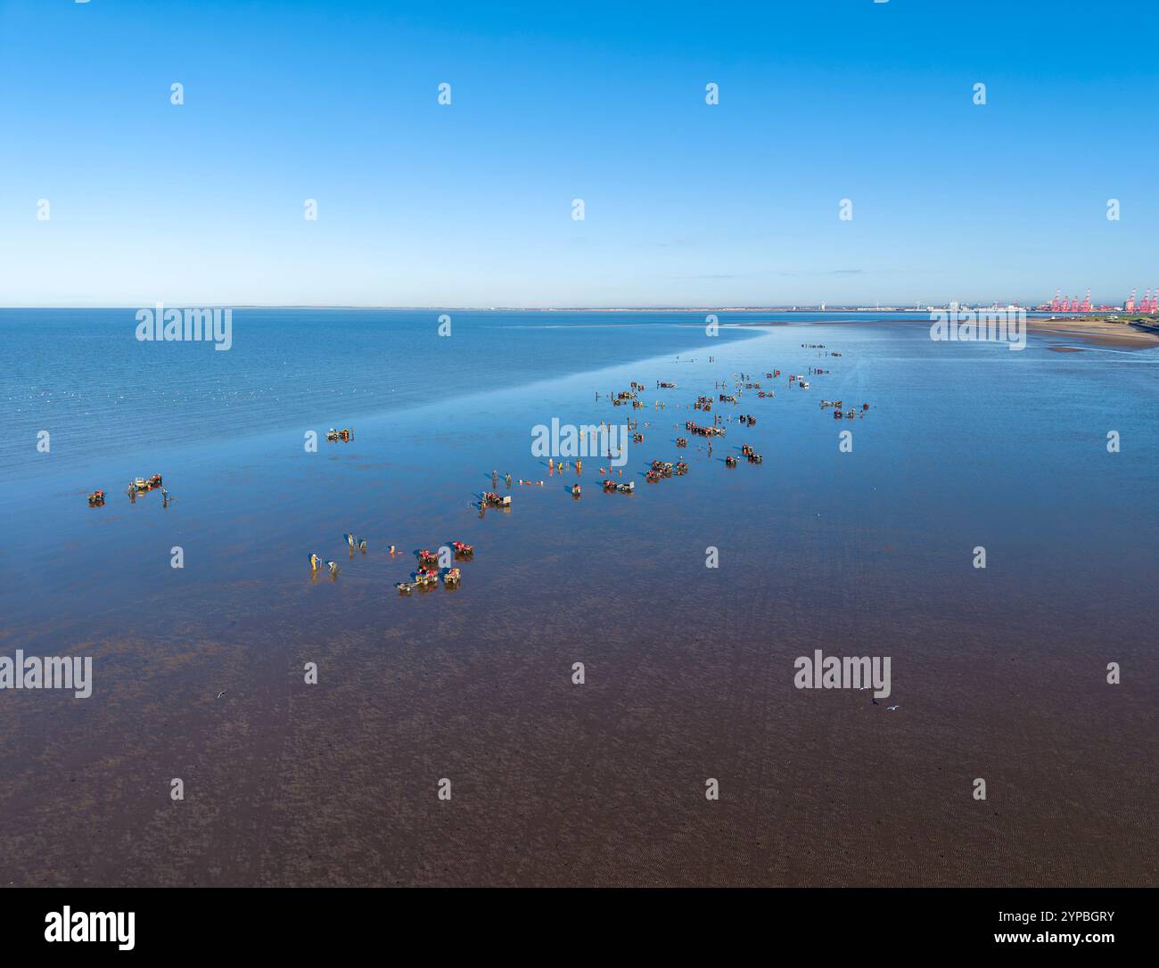 LEASOWE, MERSEYSIDE, INGHILTERRA - 27 NOVEMBRE 2024: I cacciatori di galline lavorano sulla spiaggia di Leasowe, Wirral, Merseyside, Inghilterra Foto Stock