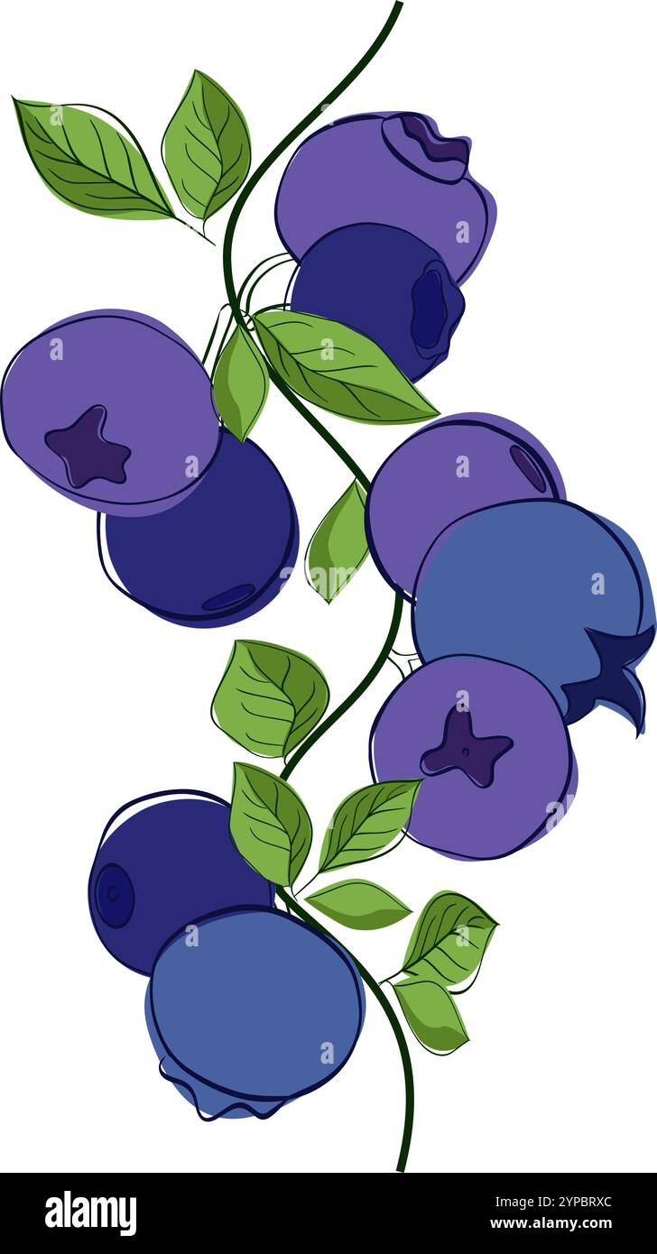 Mirtillo bordo verticale senza cuciture con foglie verdi e frutti di bosco isolati su sfondo bianco trasparente. Vettoriale fresco sano piante organiche Illustrazione Vettoriale