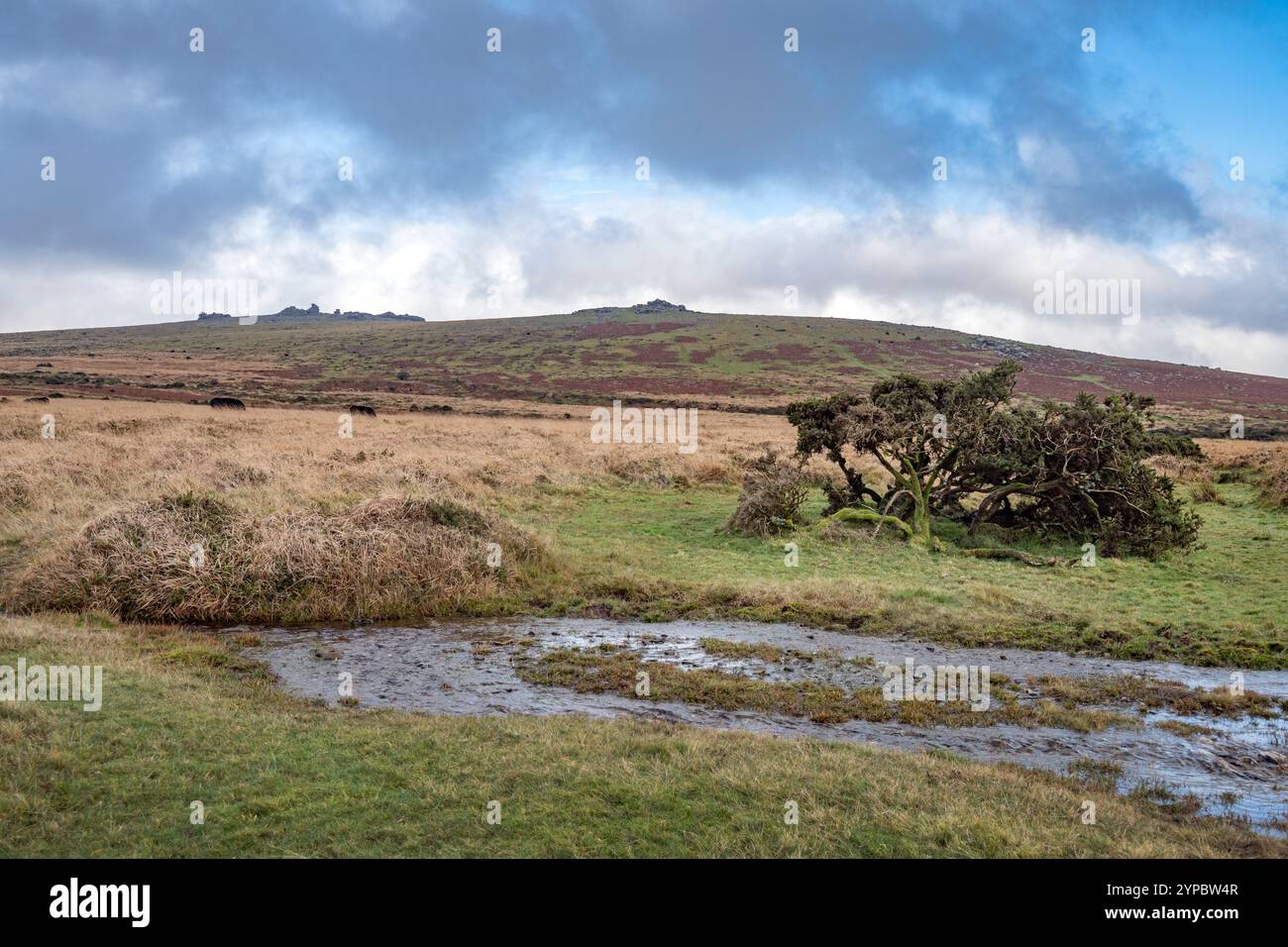 Elementi fondamentali su Dartmoor Devon e nuvole di pioggia in inverno Foto Stock