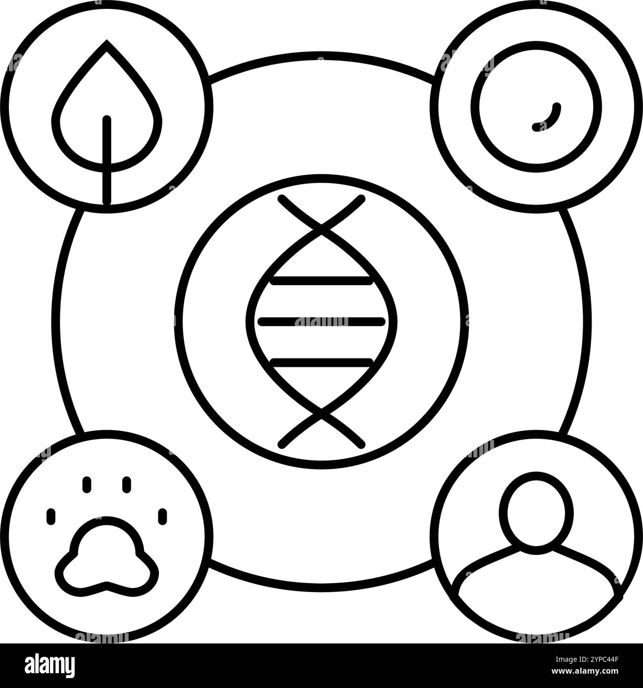 analisi dei dati genomici illustrazione vettoriale dell'icona della linea di crittografia Illustrazione Vettoriale