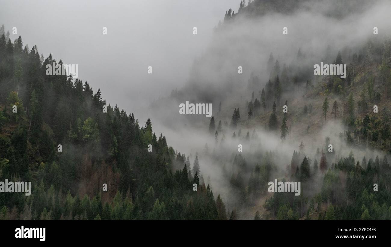 Una morbida nebbia avvolge la foresta di Rocca Pietore, creando un paesaggio inquietante ma tranquillo dove gli alberi sono velati nella nebbia, evocando un senso di calma e. Foto Stock