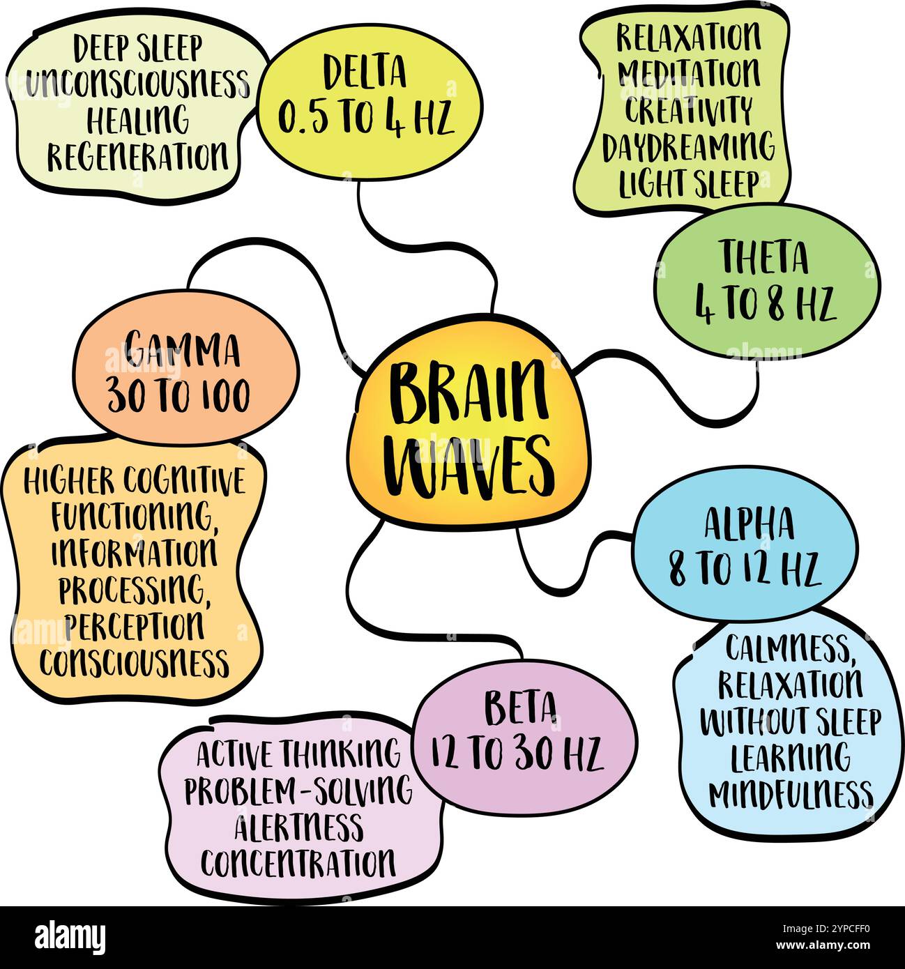 Le onde cerebrali sono impulsi elettrici nel cervello che riflettono vari stati mentali e attività, schizzo infografico della mappa mentale, infografica della mappa mentale Illustrazione Vettoriale