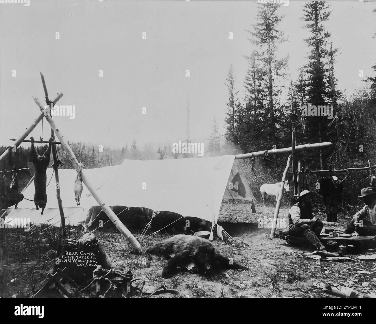 Campo degli orsi: Con una tenda e un orso cacciato. Cacciatori che si rilassano gustando un pasto. Fotografia d'archivio di animali selvatici e scene di caccia in Colorado, anni '1890 di A. G. Wallihan Foto Stock