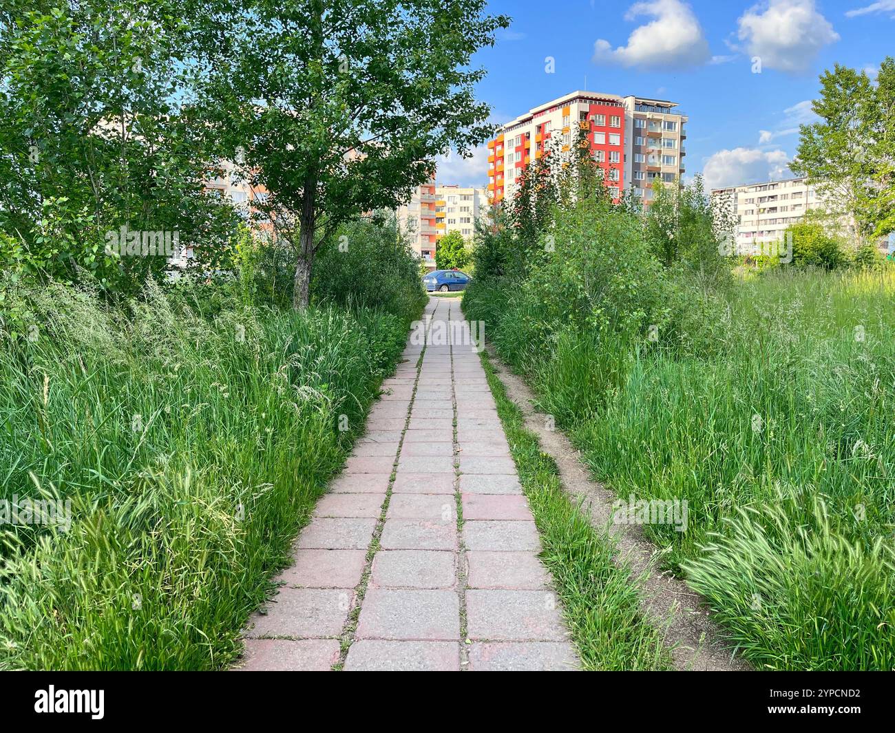 Sofia Bulgaria, residenziale, quartiere, infrastrutture, quartiere, erba alta, vialetto, spazio esterno, manutenzione, vegetazione, spazio verde, UE Foto Stock