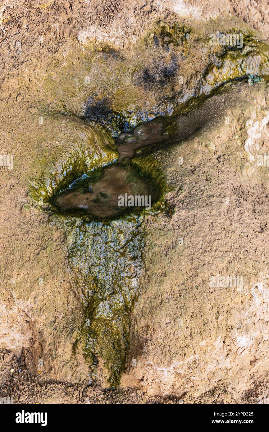 Acqua mineralizzata che scorre da una parete rocciosa, deserto roccioso di Huqf, Penisola Araba, Sultanato dell'Oman Foto Stock