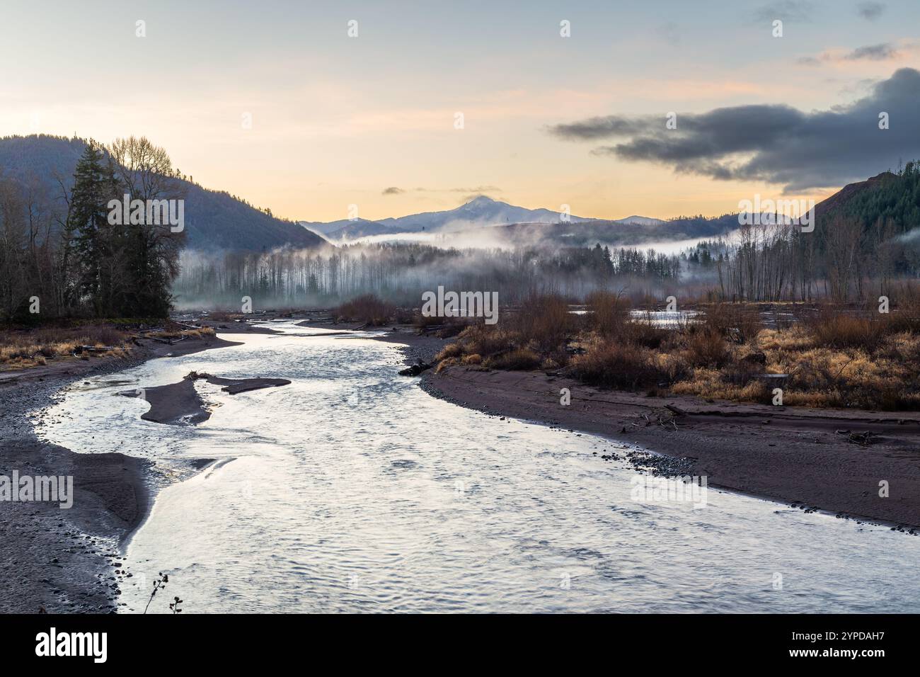 Il fiume Nisqually sfocia nel lago artificiale Alder nell'Elba nello stato di Washington Foto Stock