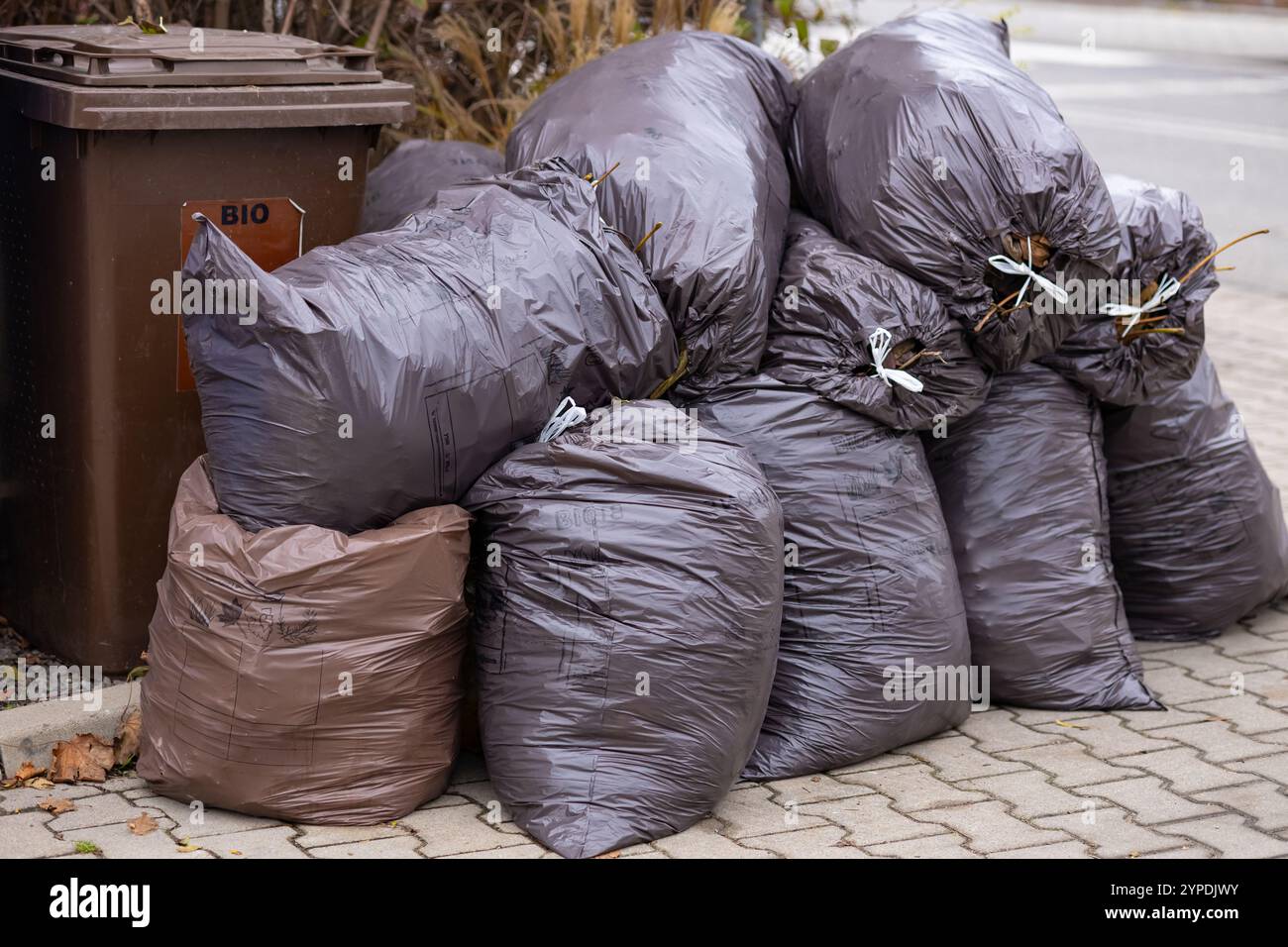 Una pila di sacchetti per rifiuti biodegradabili riempiti con ritagli da giardino e rami posti accanto a un bidone marrone per rifiuti biologici su una strada asfaltata Foto Stock