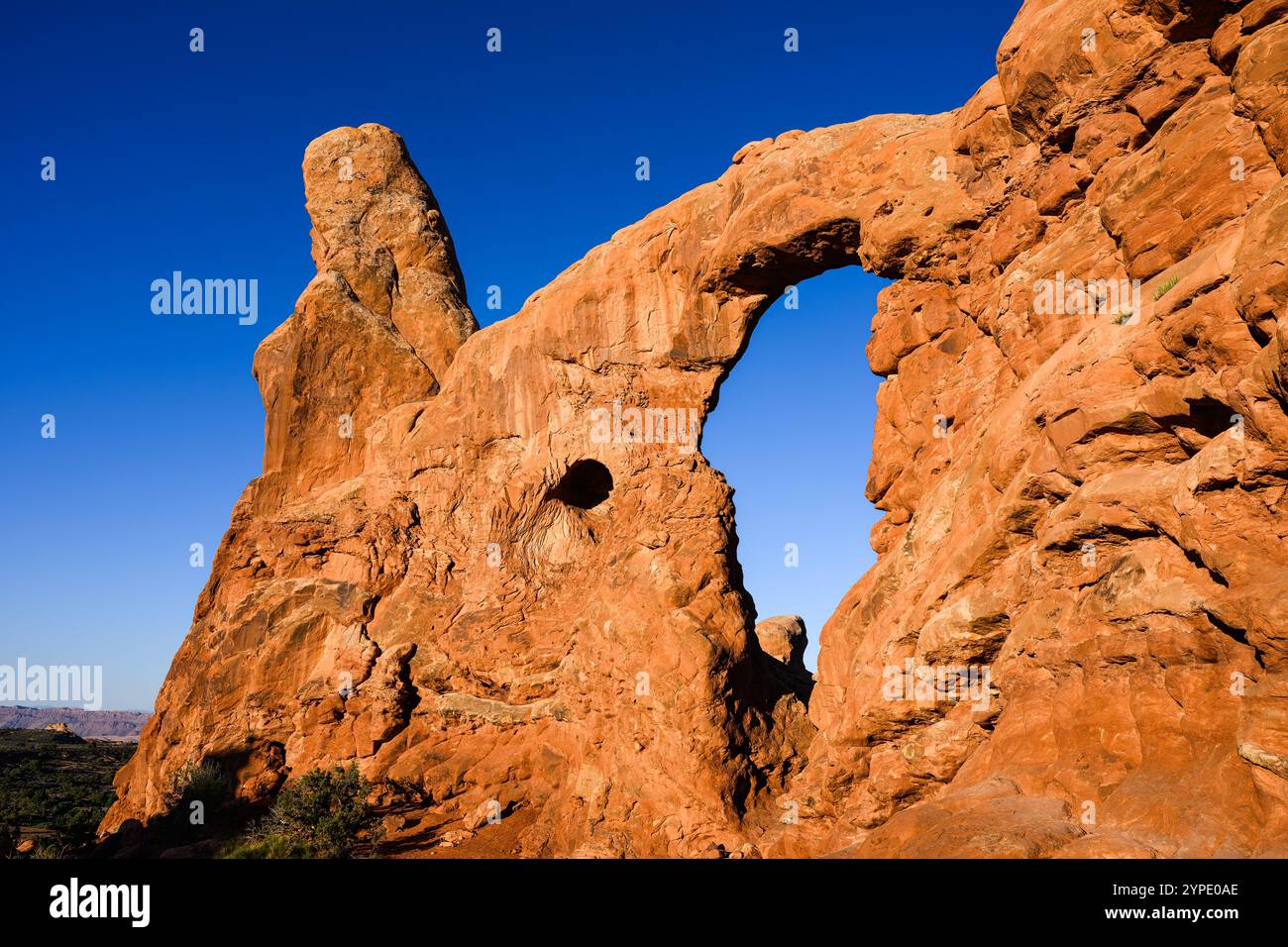 Torretta Arch nella sezione Windows del Parco Nazionale degli Arches sotto il cielo blu Foto Stock