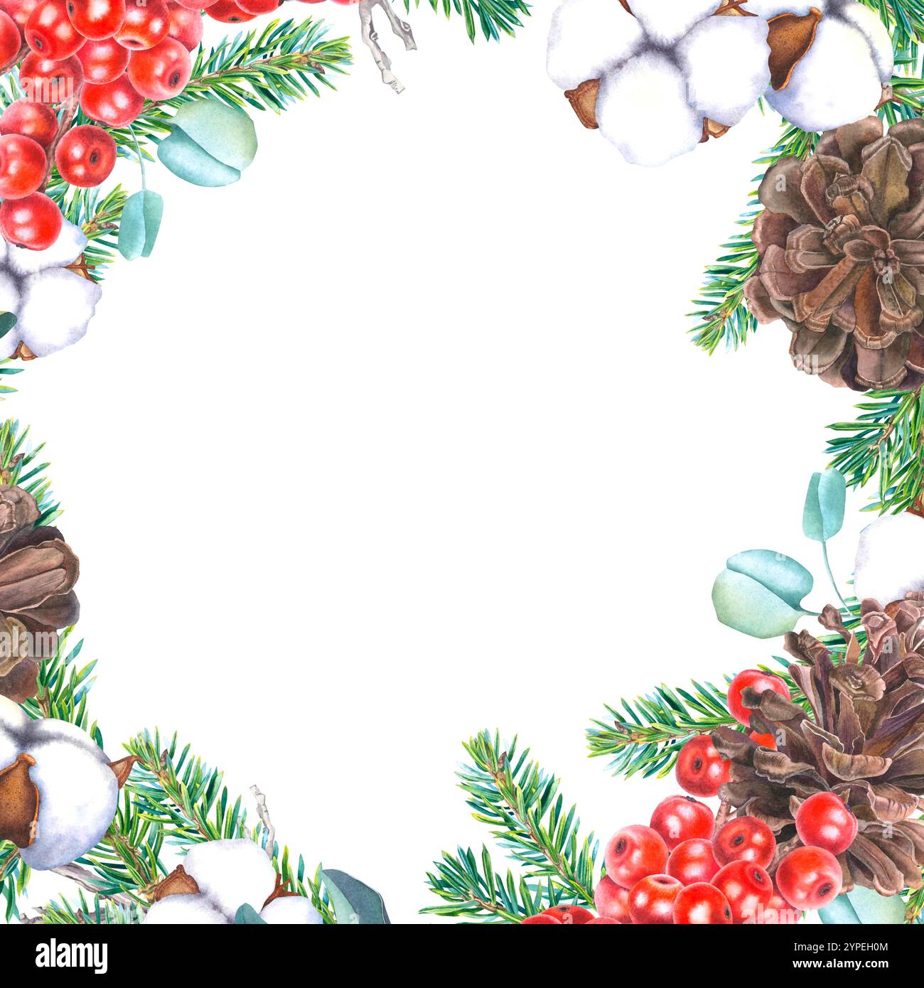 Cornice quadrata con ilex, coni, rami di conifere, eucalipto e bolls di fiore di cotone. Immagine ad acquerello disegnata a mano della cornice rotonda. Foto Stock