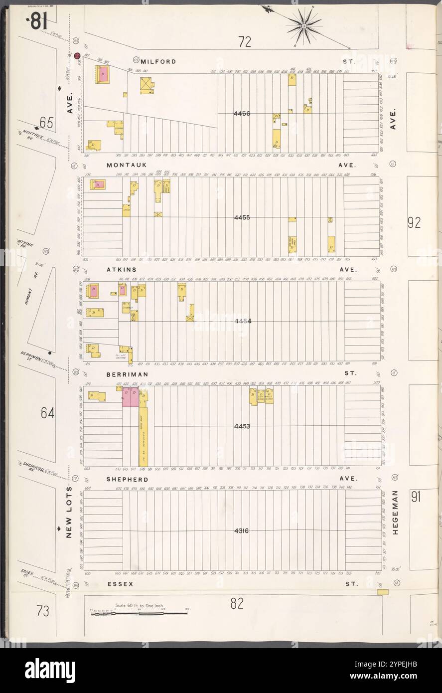 Brooklyn V. 8, Plate No. 81 [Mappa delimitata da Milford St., Hegeman Ave., Essex St., New Lots Ave.] 1884 - 1936 Foto Stock