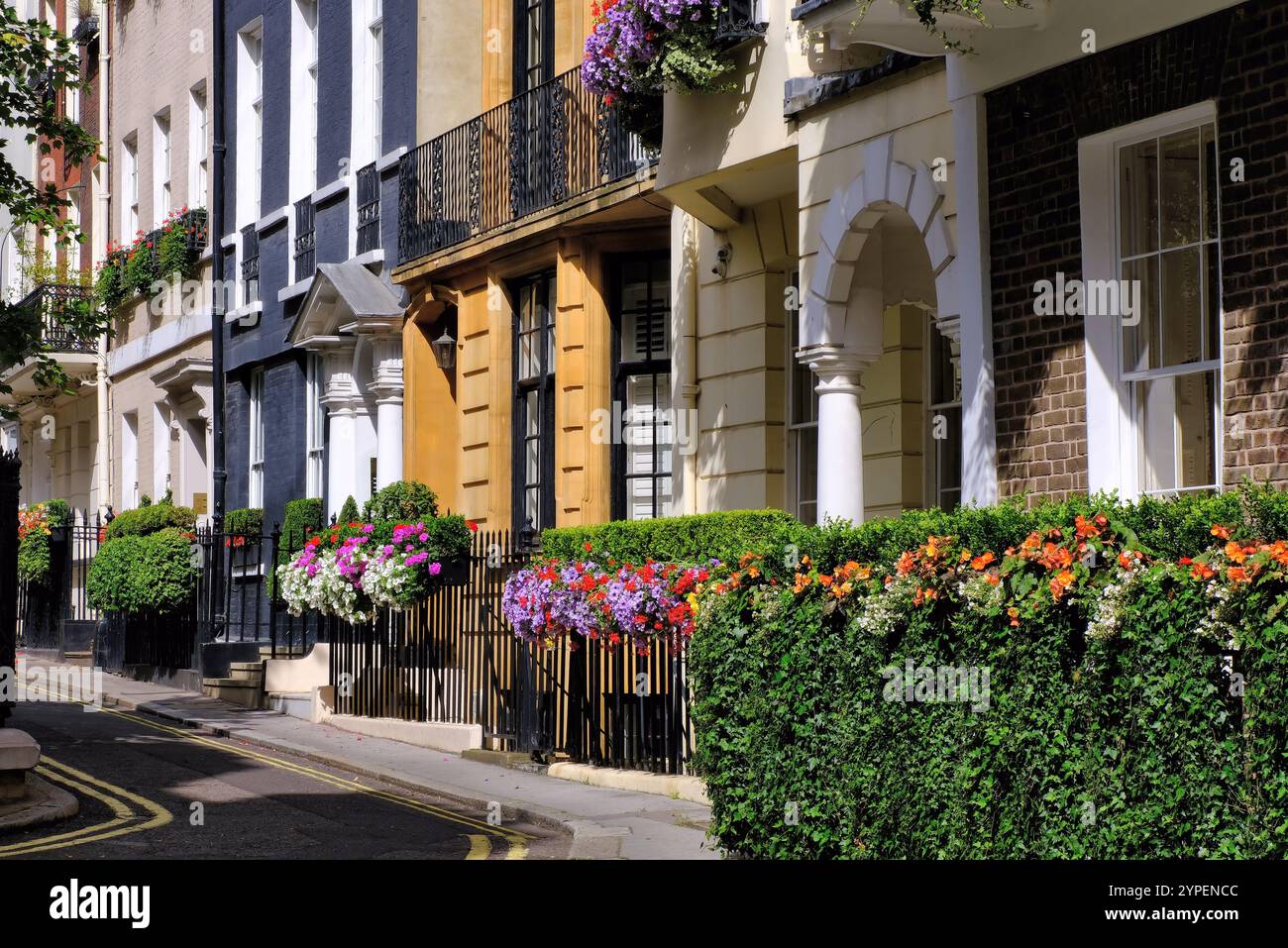 Bellissime vecchie case con terrazza e fiori colorati in Charles Street Mayfair, Londra, Inghilterra, Regno Unito Foto Stock