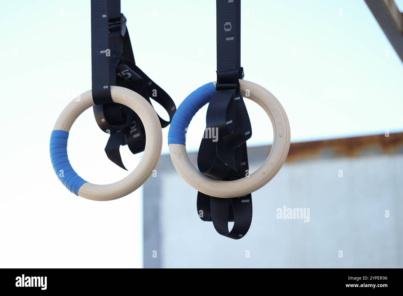 Scopri gli anelli da ginnastica progettati appositamente per l'allenamento di forza e le routine di fitness generale Foto Stock