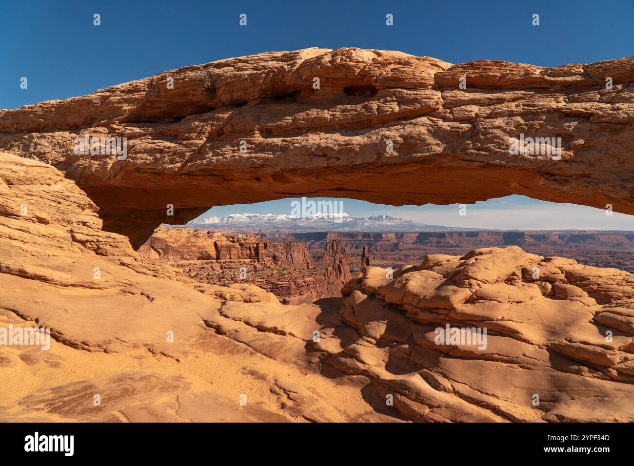 Formazione rocciosa in arenaria Mesa Arch nel parco nazionale di Canyonlands nello Utah, che incornicia le montagne La Sal innevate sotto un cielo blu terso Foto Stock