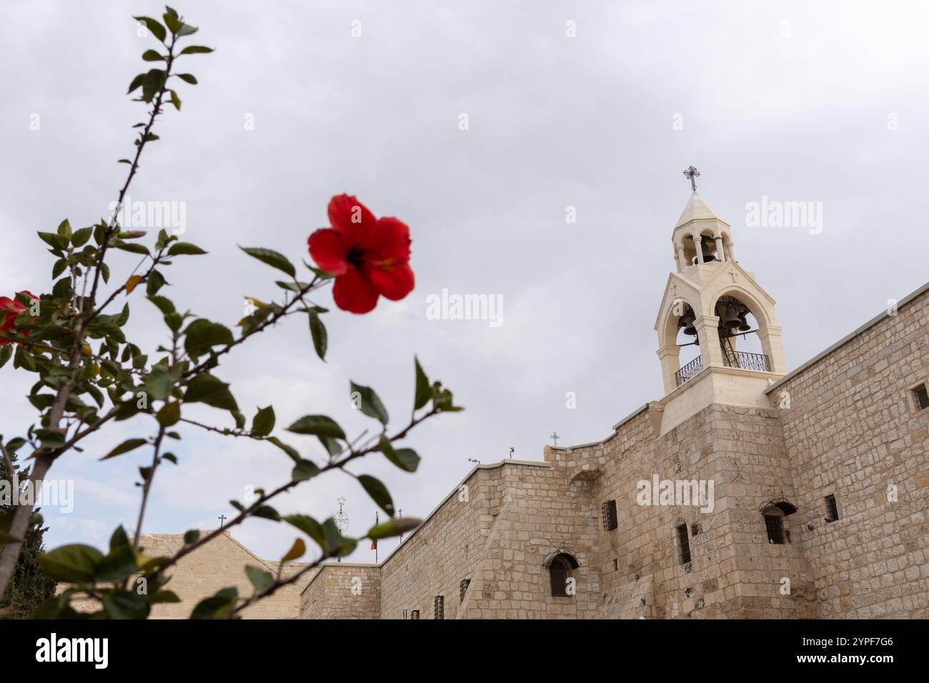 Chiesa della Natività a Betlemme con fiore rosso Foto Stock