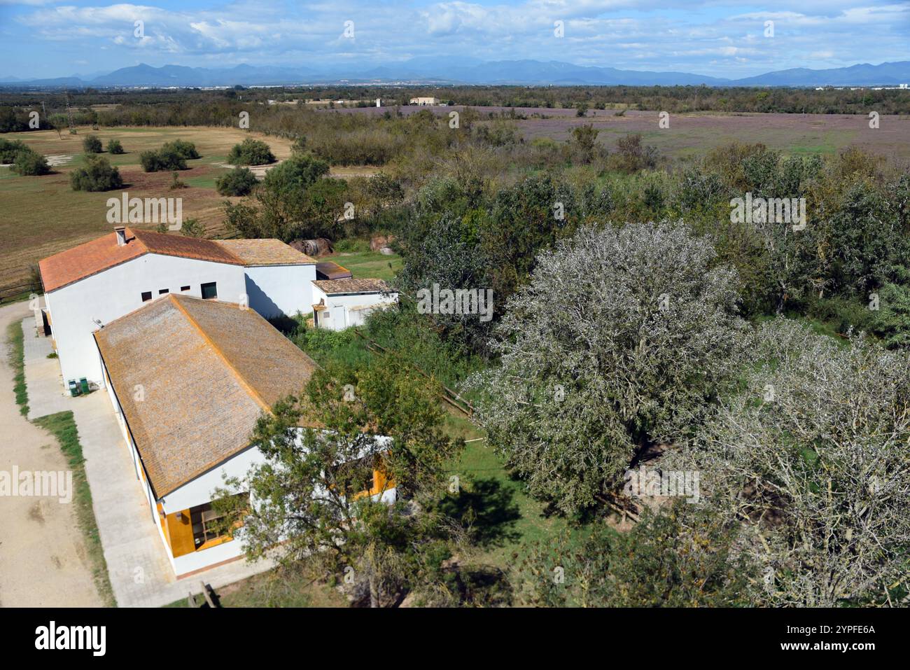 Vista panoramica del Parco naturale Aiguamolls de l'Empordà in N.E. Spagna Foto Stock