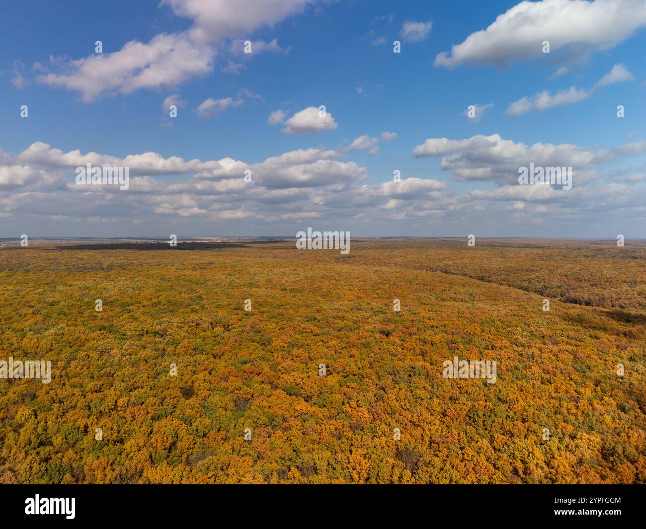 Vista aerea sopra la soleggiata e dorata foresta autunnale con cielo panoramico blu nuvoloso e paesaggio naturale autunnale in Ucraina Foto Stock