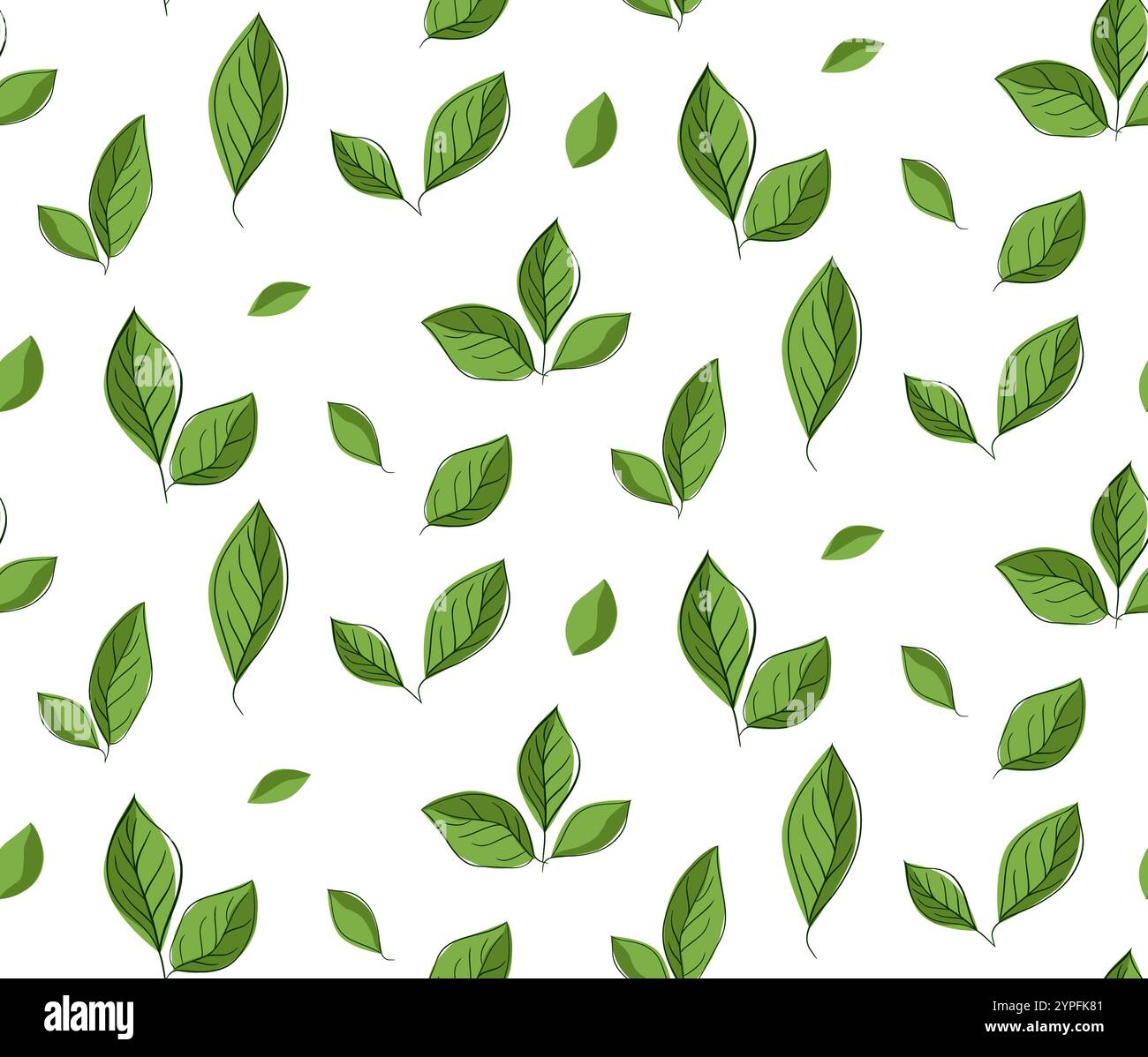 foglie verdi senza cuciture. Illustrazione del vettore di linee grafiche disegnate a mano. Design per confezioni vintage. Stile inciso. Illustrazione Vettoriale