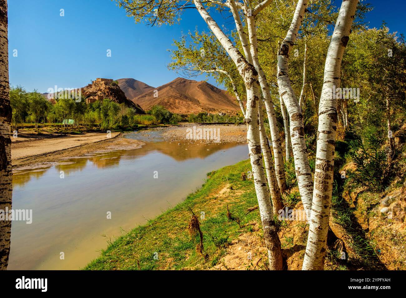 Valle fertile nella zona di Jebel Sirwa, (Jebel Siroua ) delle montagne anti-atlante del Marocco vicino a Talouine / Taliouine Foto Stock