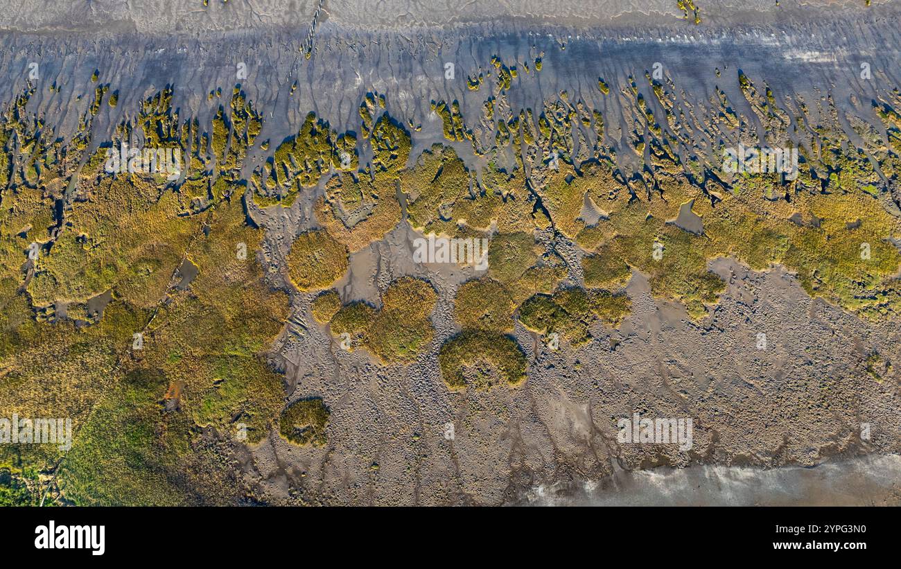 Bridgewater Bay, paludi salate e spiaggia, Steart, Somerset. REGNO UNITO Foto Stock