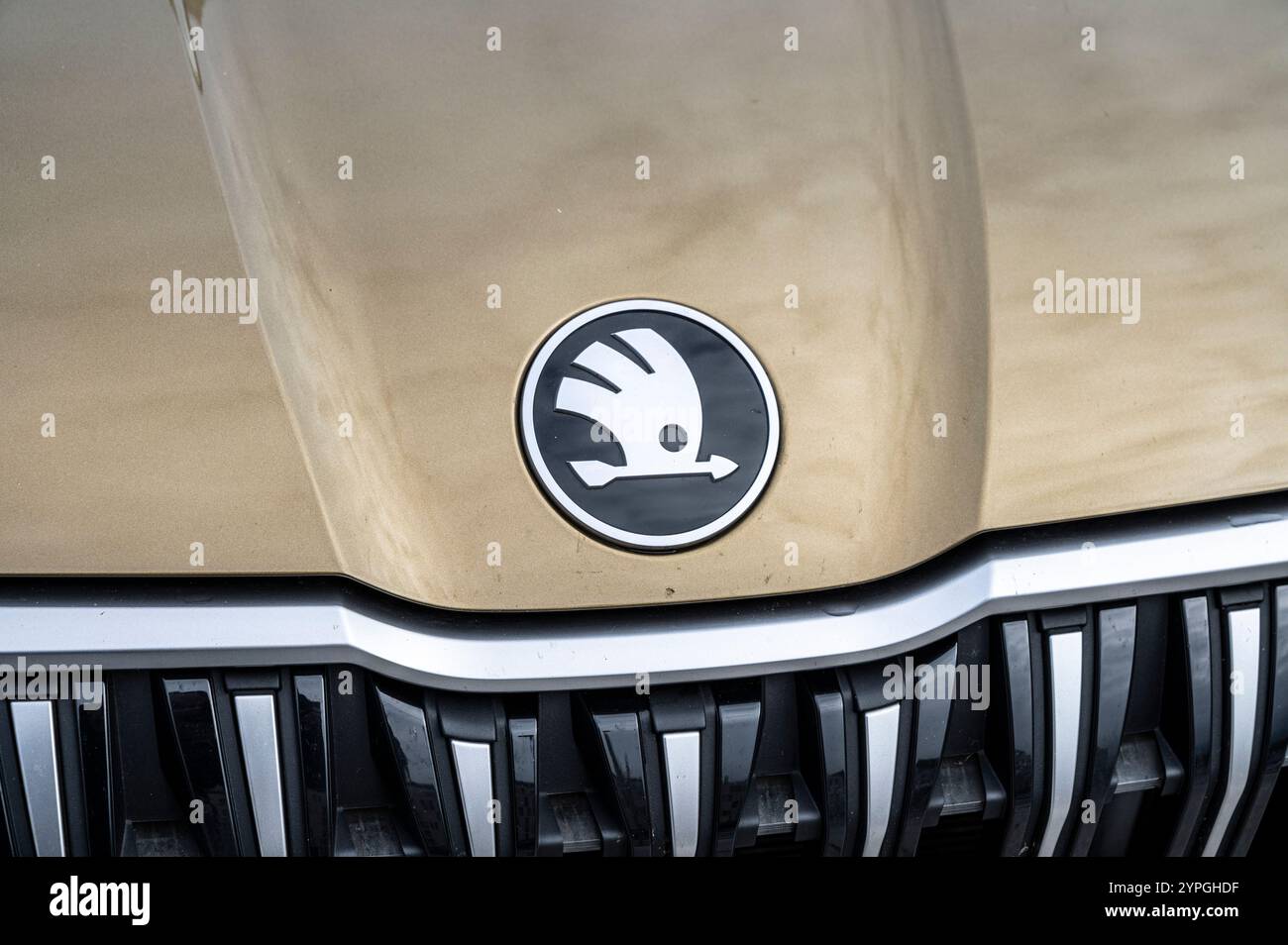 Bratislava, Slovacchia - 2 novembre 2024 : nuova Skoda Kodiaq car. modello 2024. Foto Stock