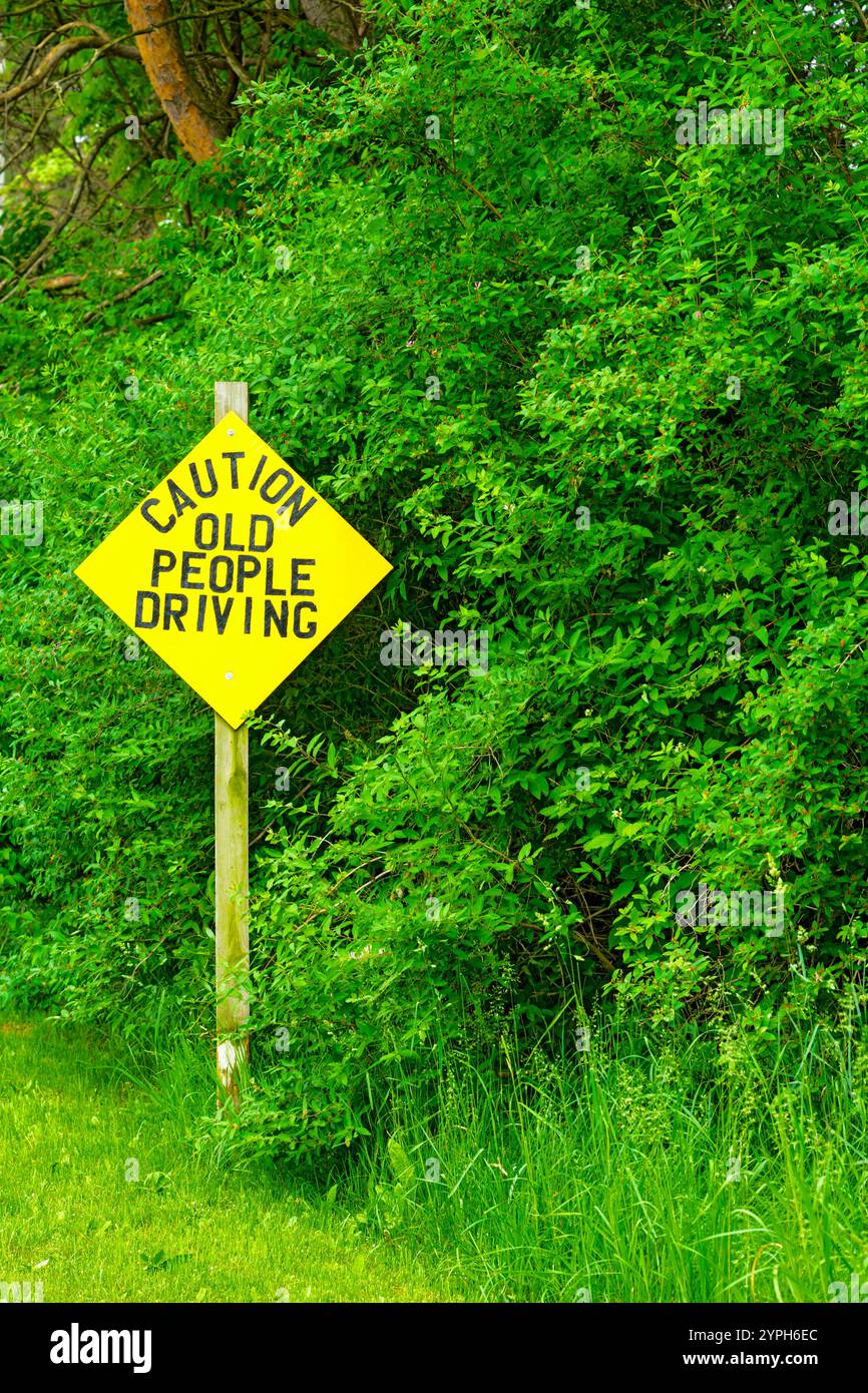 Cartello stradale divertente con scritto "attenzione: Guida di persone anziane" a Summit Township, Mason County, Michigan, Stati Uniti. Foto Stock