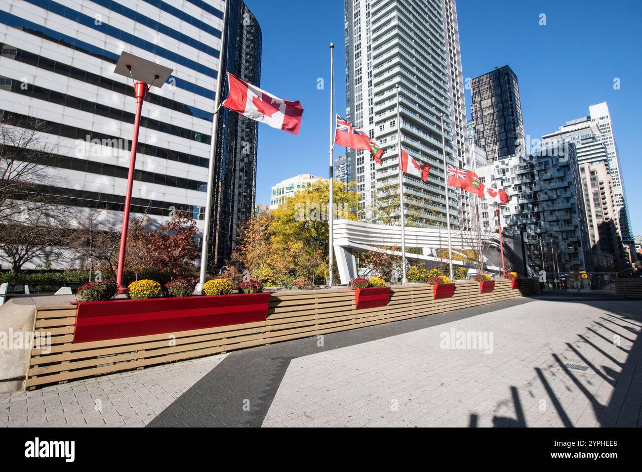 Bandiere canadesi e dell'Ontario in un giardino vicino alla CN Tower su Bremner Boulevard nel centro di Toronto, Ontario, Canada Foto Stock