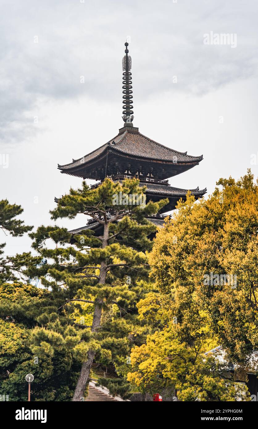 La Pagoda a cinque piani presso il complesso del tempio buddista Kofukuji a Nara, in Giappone. Foto Stock