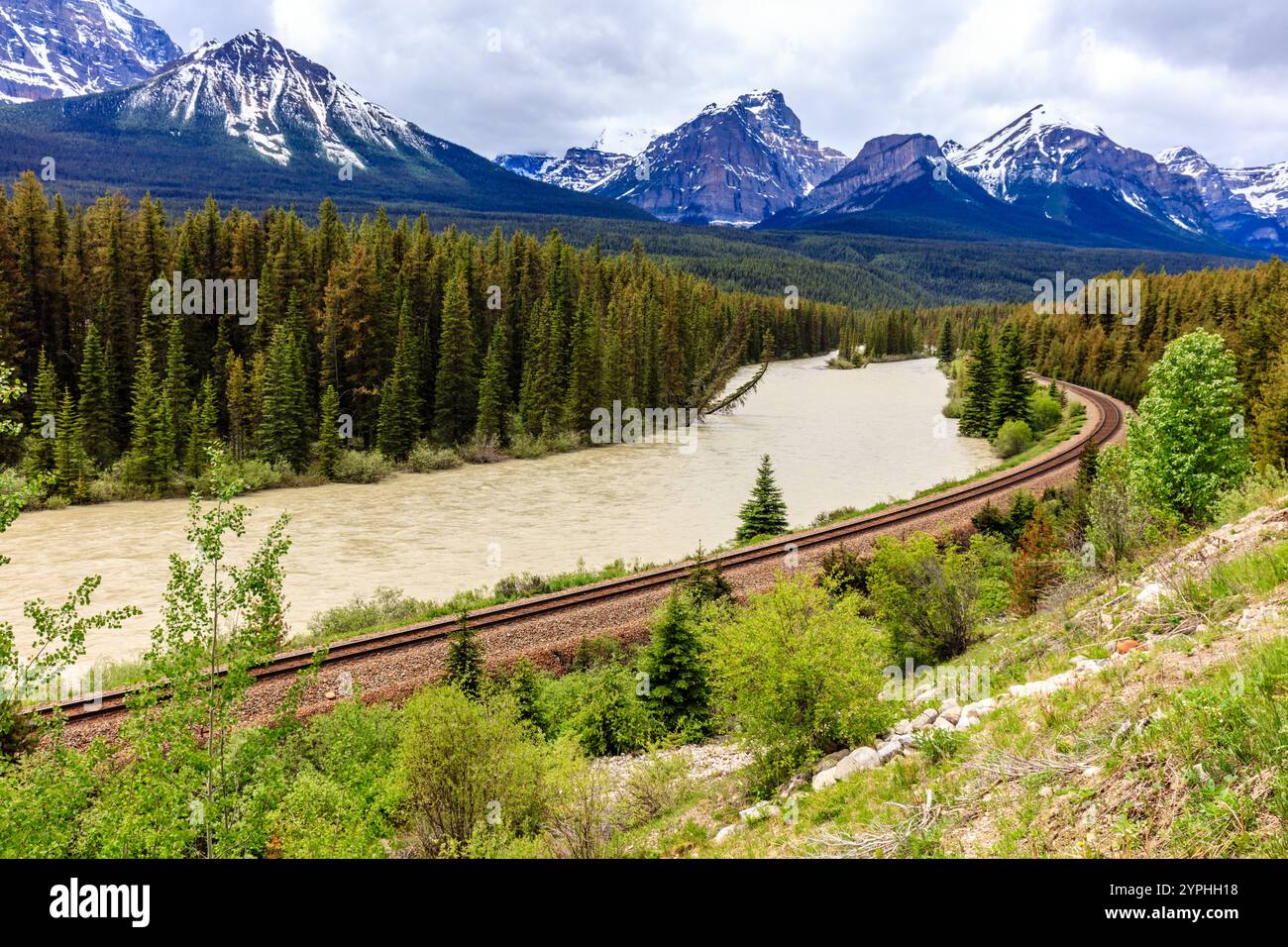 Un treno sta viaggiando lungo un binario vicino a un fiume. Il treno è circondato da alberi e montagne sullo sfondo. La scena è tranquilla e serena Foto Stock