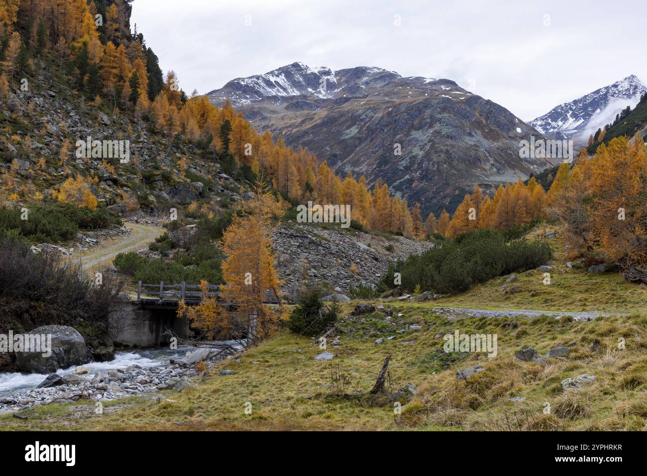 Susasca selvatica, torrente sotto il passo Flueela, Val Susaca, S-chanf, Engadina, Graubuenden, Svizzera, Europa Foto Stock