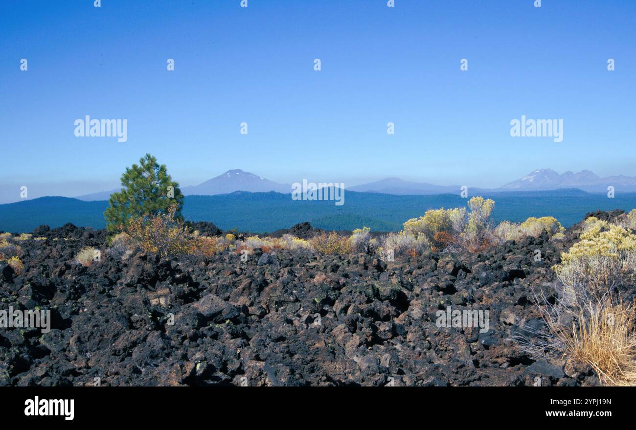 La lava rocciosa scorre con alcune piante che prendono piede nell'ambiente arido, con la catena montuosa delle Cascate in lontananza dietro il fumo. Foto Stock