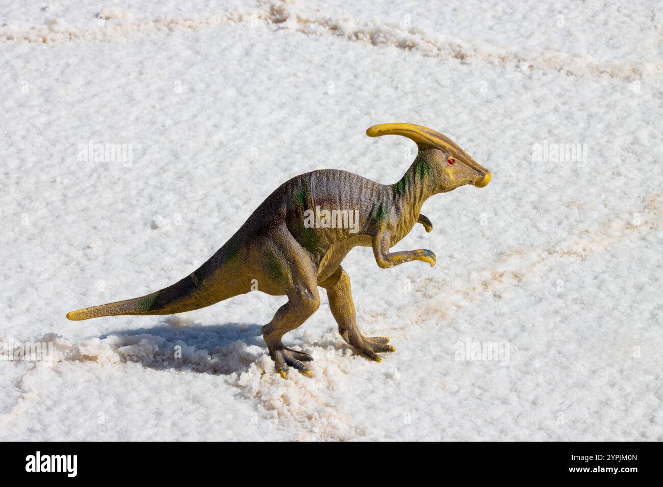 Dinosauro giocattolo sulla superficie salina bianca di Salar de Uyuni, Bolivia, creando un contrasto stravagante e giocoso nelle vaste distese saline. Foto Stock