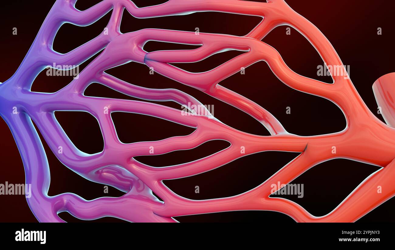 rendering 3d della rappresentazione semplificata del sistema circolatorio, incentrato sui componenti chiave delle arterie e delle vene. Foto Stock