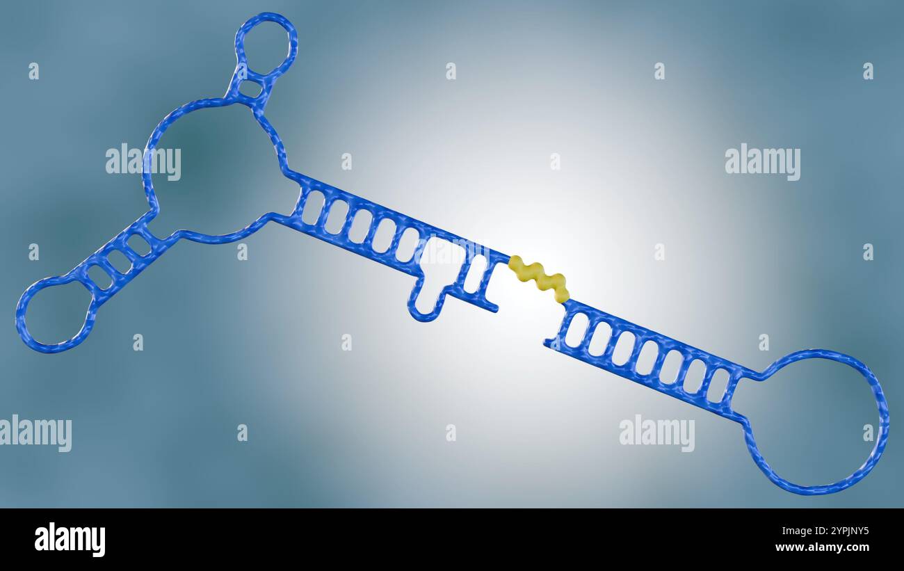 Rendering 3D di una chimera aptamer-shRNA, una nuova piattaforma terapeutica che sfrutta la specificità degli aptamers e la potenza dell'interferenza RNA. Foto Stock