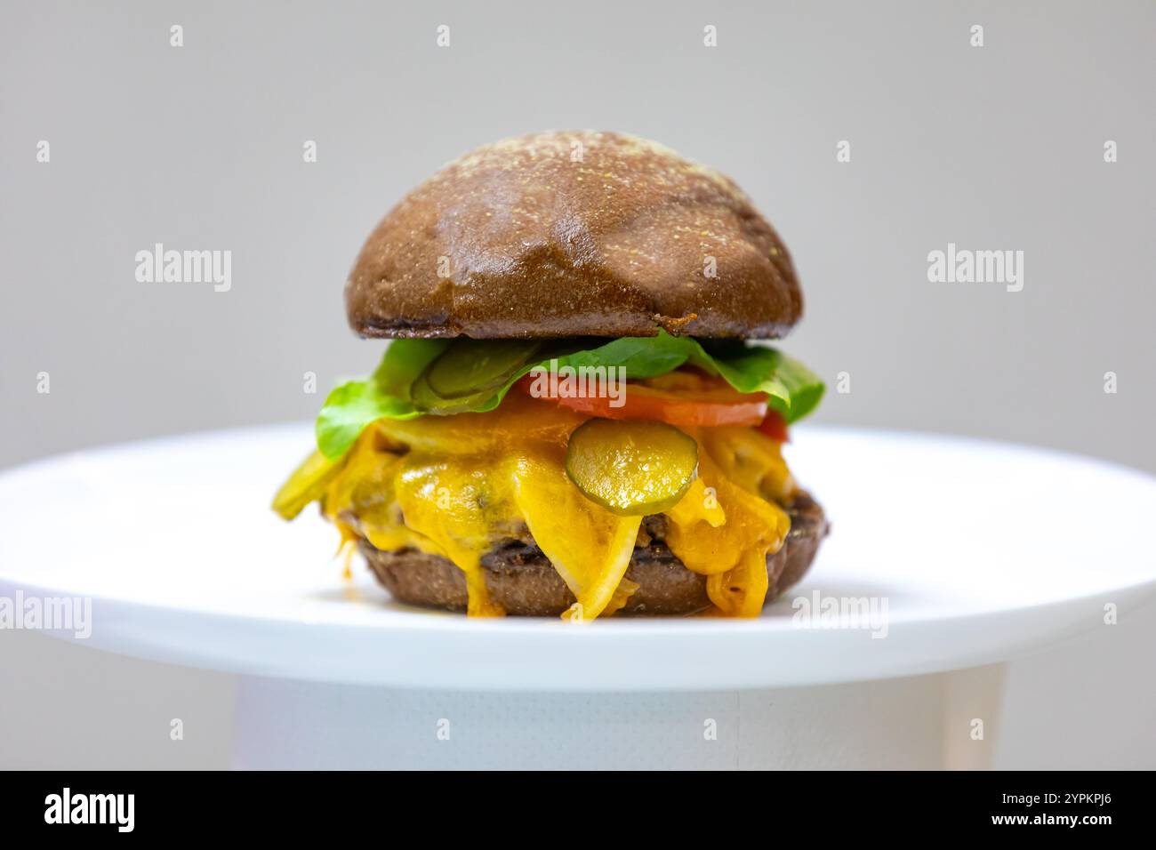 Panino rustico tradizionale con formaggio cheddar, verdure e pane australiano in una fotografia creativa e in un ambiente accogliente Foto Stock