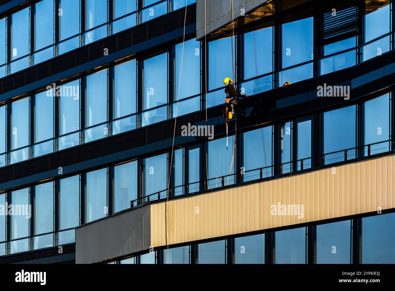 Lavoratore sulle corde che pulisce la facciata del moderno edificio in vetro in un ambiente urbano al tramonto Foto Stock