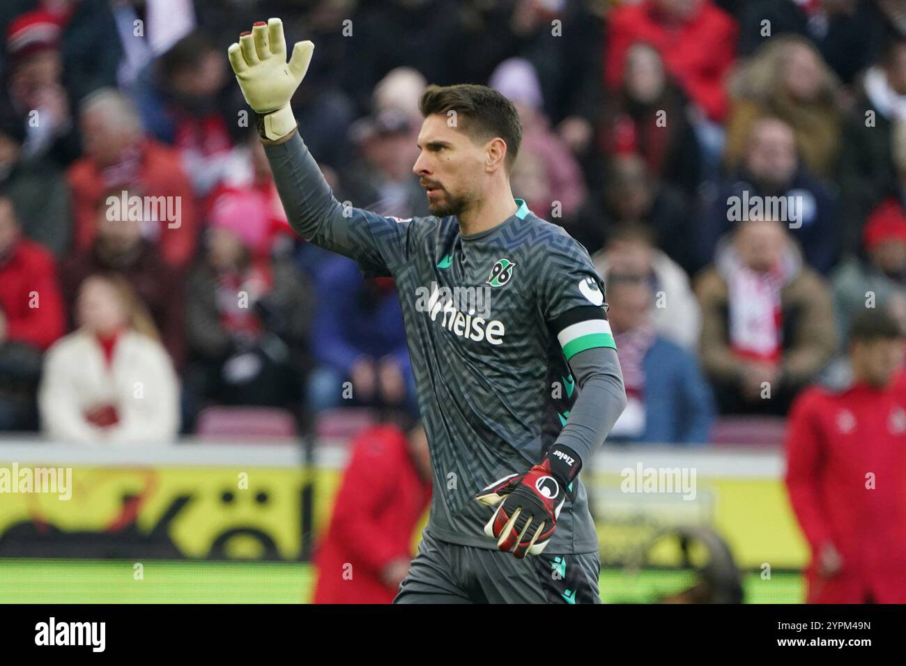 Fussball, 2.BL Saison 2024/2025 1.FC Köln vs Hannover 96 RheinEnergiestadion, Köln Ron-Robert Zieler TW Hannover 96, Aktion, Einzelbild Fotocopyright Gladys Chai von der Laage le normative DFL vietano qualsiasi uso di fotografie come sequenze di immagini e/o quasi-video. Foto Stock